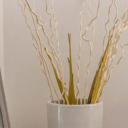 酒店 Aurora 利尼亚诺萨比亚多罗