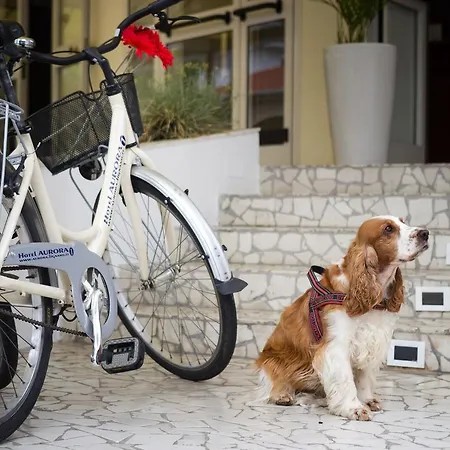 Hotel Aurora Lignano Sabbiadoro