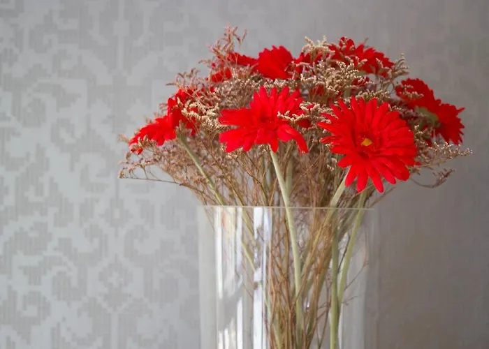 Aurora لينانو سابيادورو